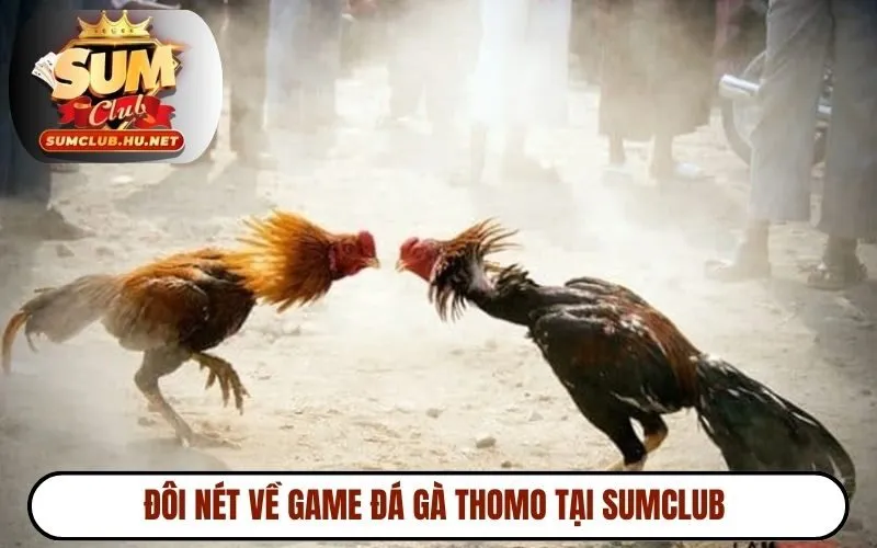 Đôi nét về game đá gà Thomo tại SUMCLUB